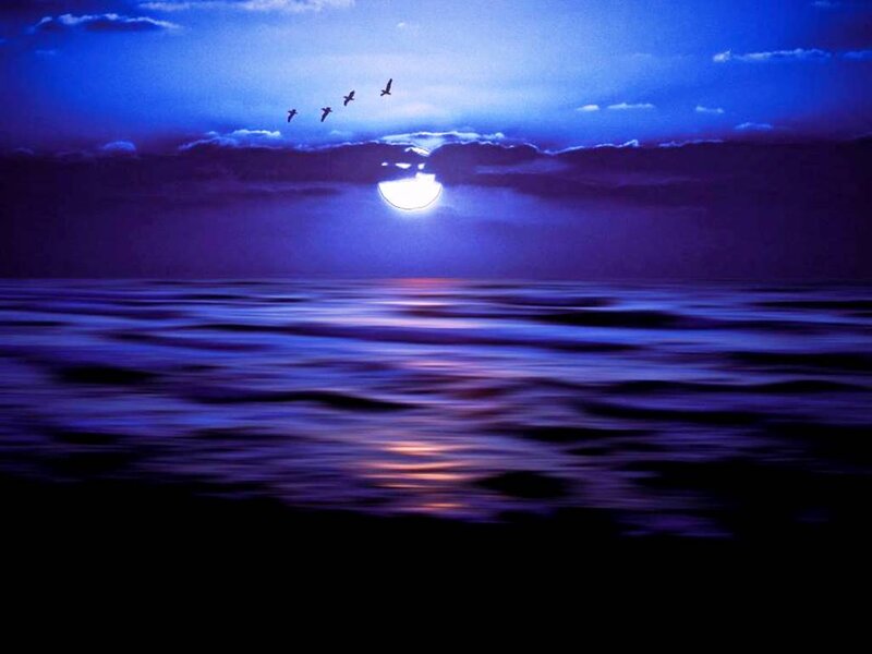 Moon over Ocean — Blue, Serene, Night, Digital Art, Birds