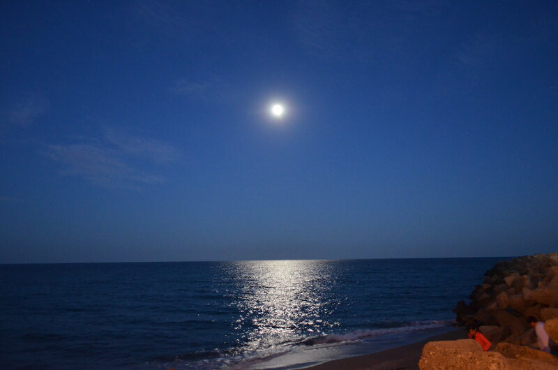 Moon over Ocean — Blue, Serene, Night, Photograph, Rocks