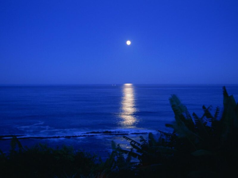 Moon over Ocean — Blue, Serene, Night, Photograph