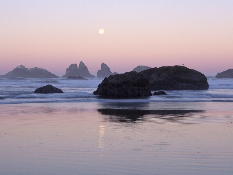 Moon over Ocean Rocks — Pink, Serene