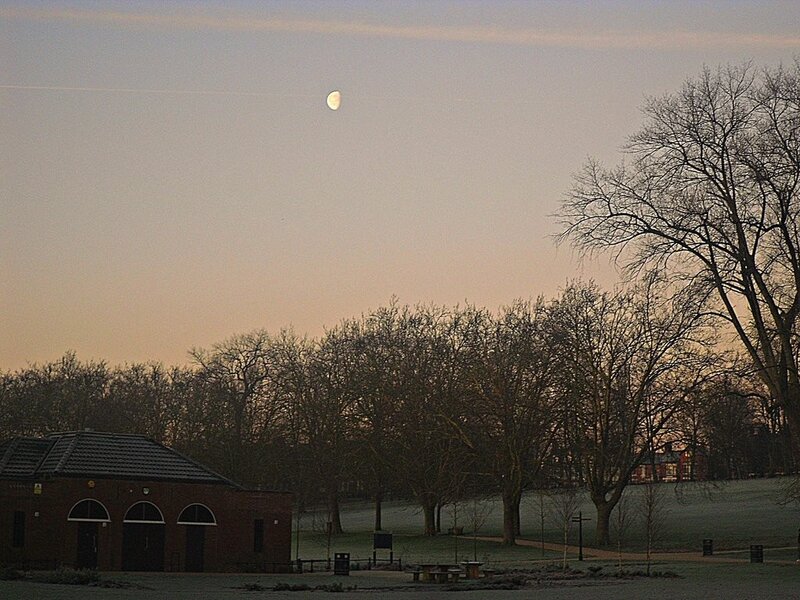 Moon over park at dusk