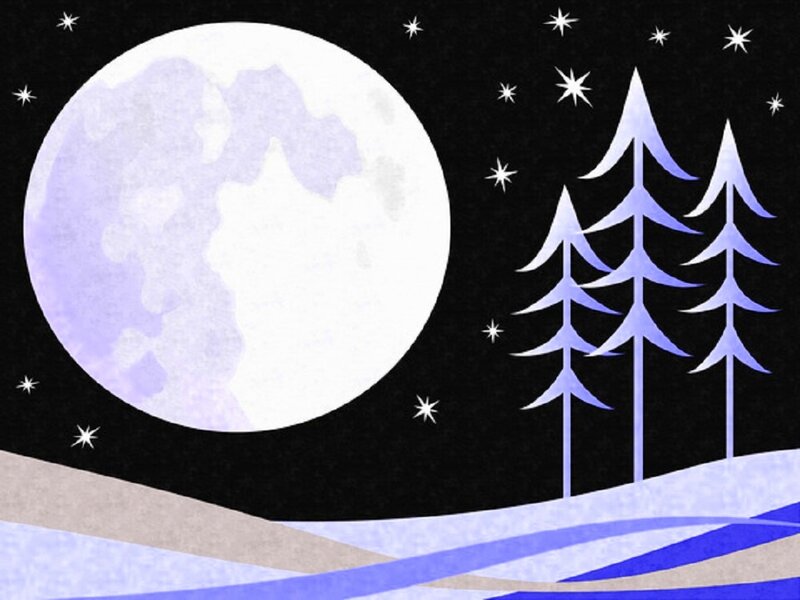 Moon over Pine Trees