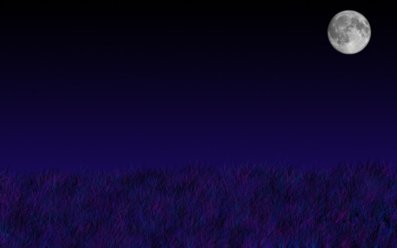 Moon over purple grass