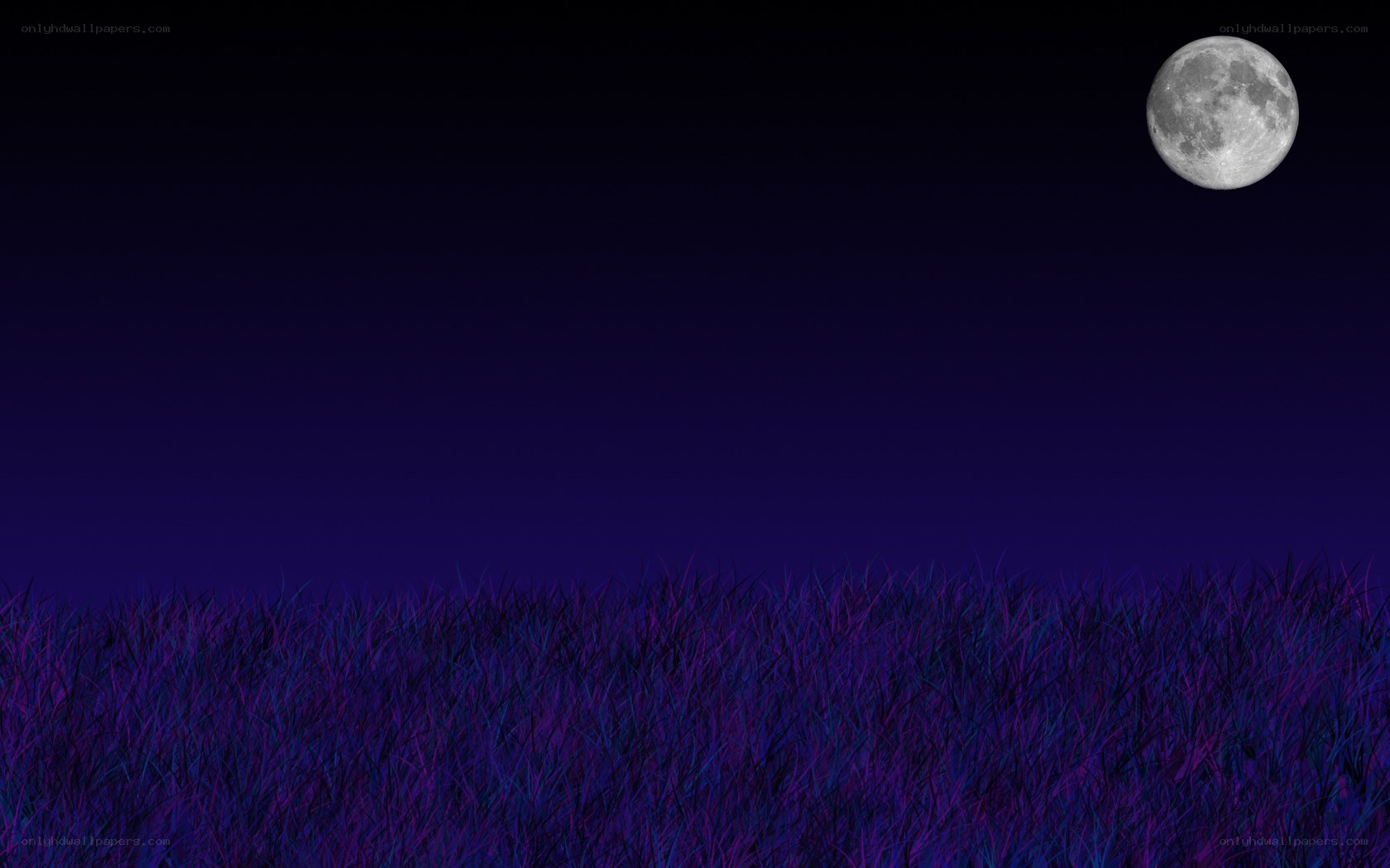 Moon over purple grass