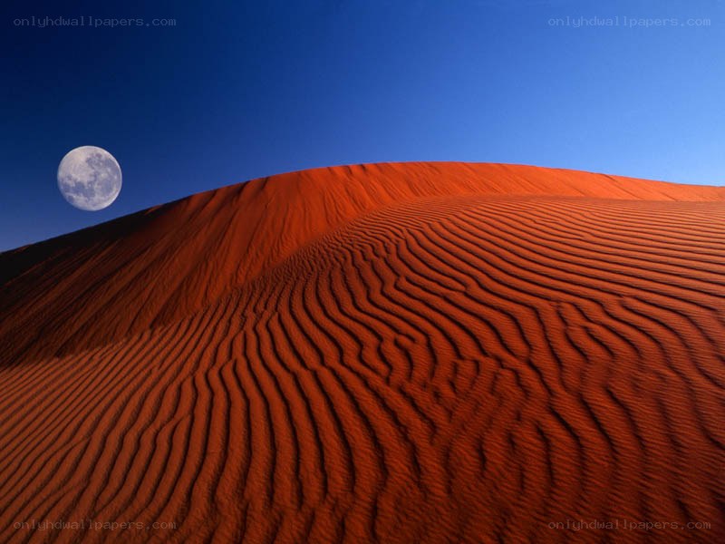 Moon over red sand dunes