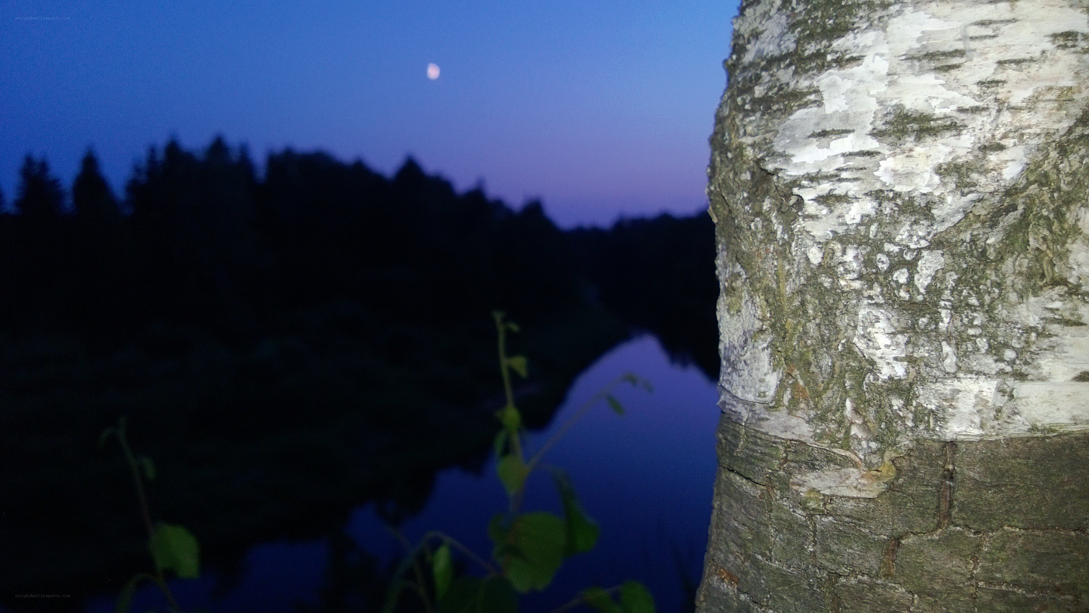 Moon over river at dusk