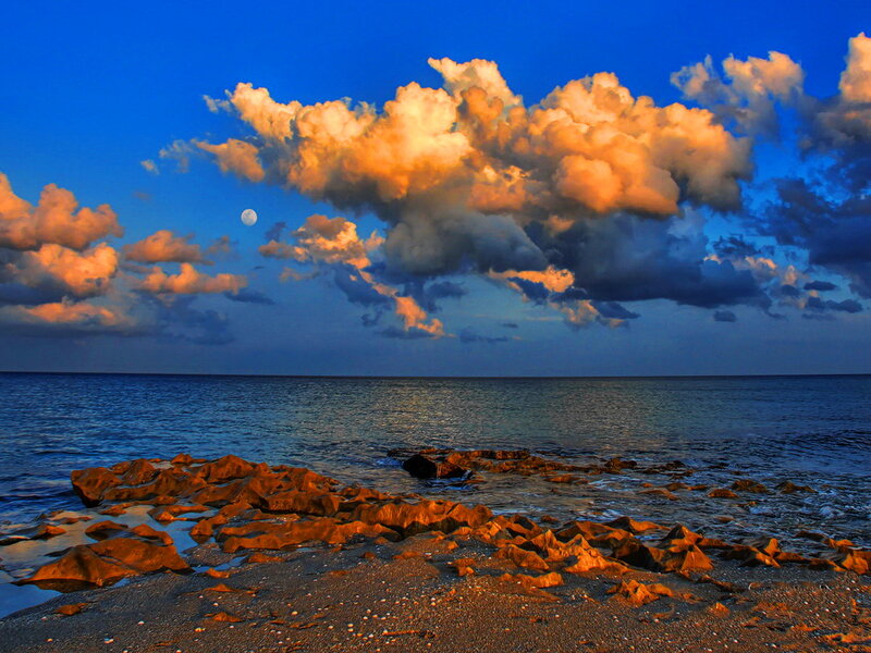 Moon over Rocky Beach — Blue