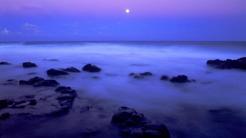 Moon over Rocky Shore — Purple, Serene, Night, Photograph, Rocks, Ocean