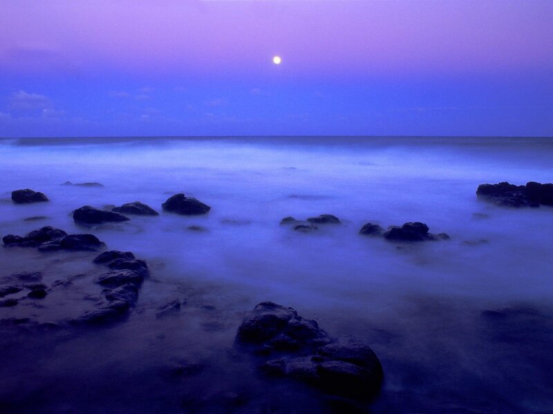 Moon over Rocky Shore — Purple, Serene, Night, Photograph, Rocks