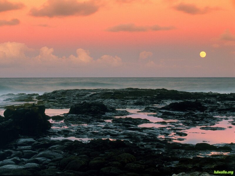 Moon over Rocky Shore