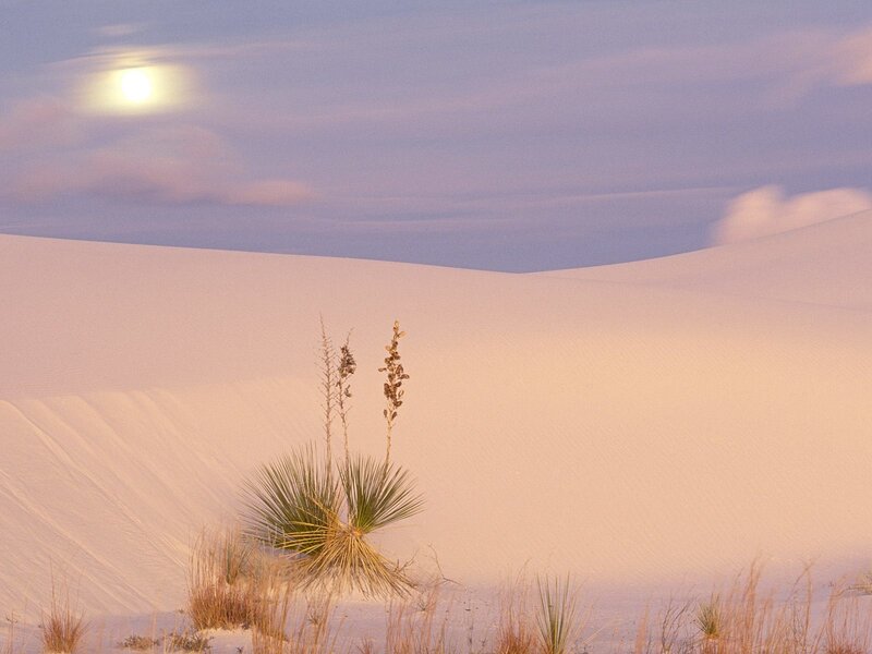 Moon over sand dunes