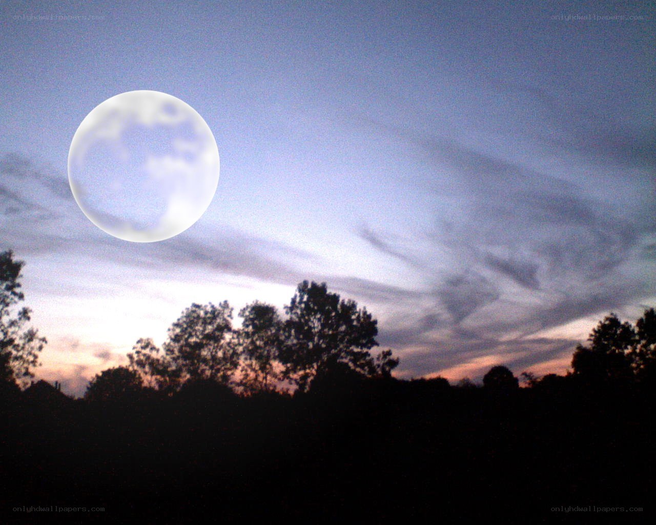Moon over silhouetted trees