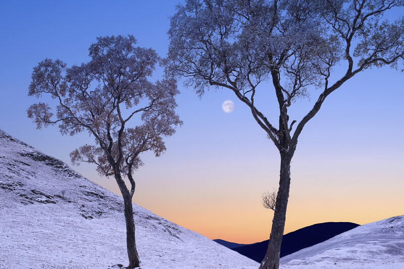 Moon over snowy hills