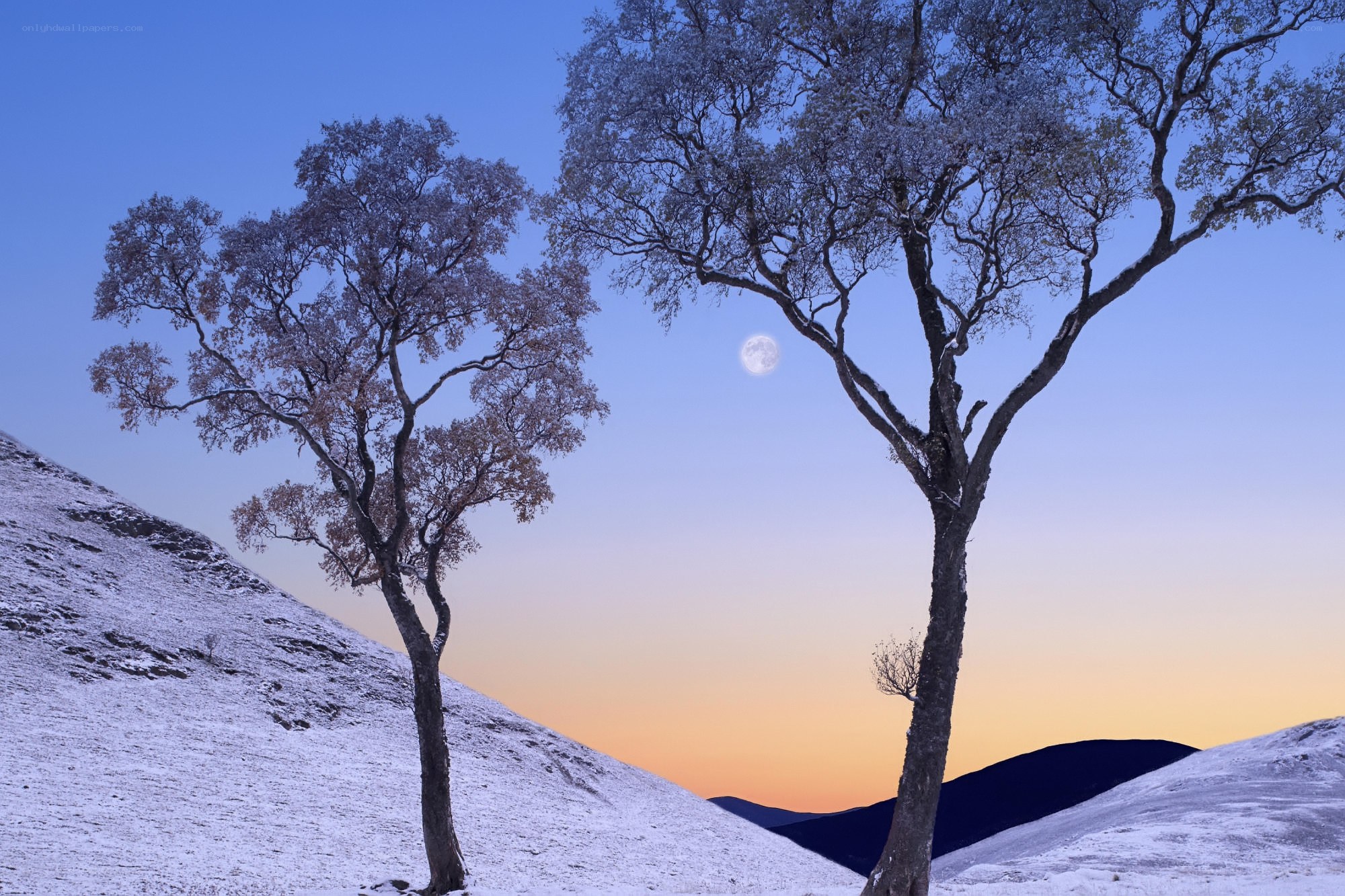 Moon over snowy hills