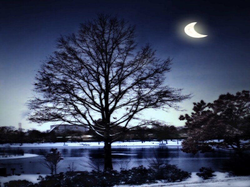 Moon over snowy park