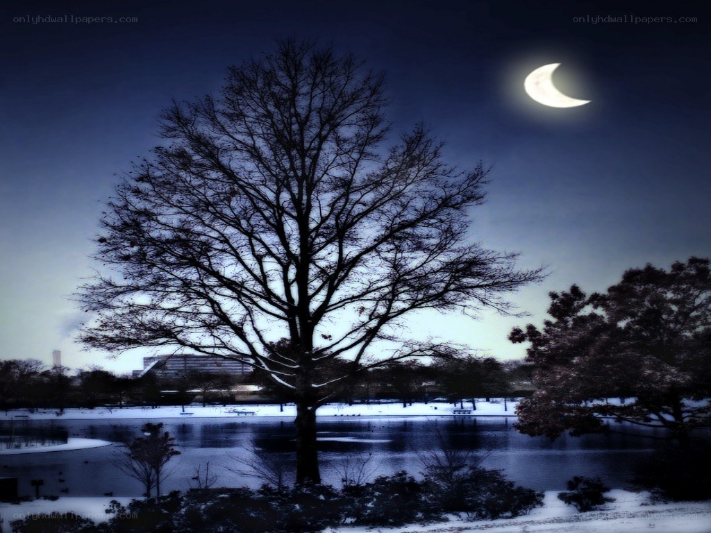 Moon over snowy park