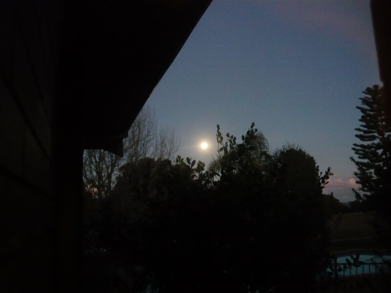 Moon over Trees — Blue
