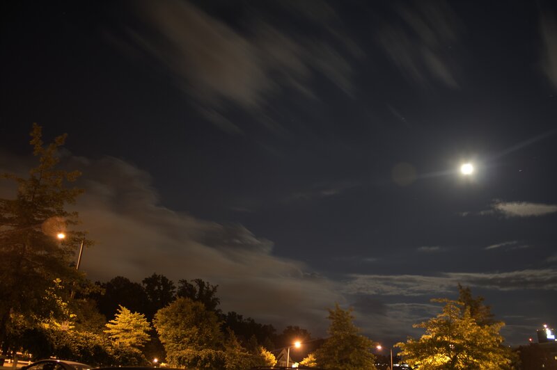 Moon over Trees