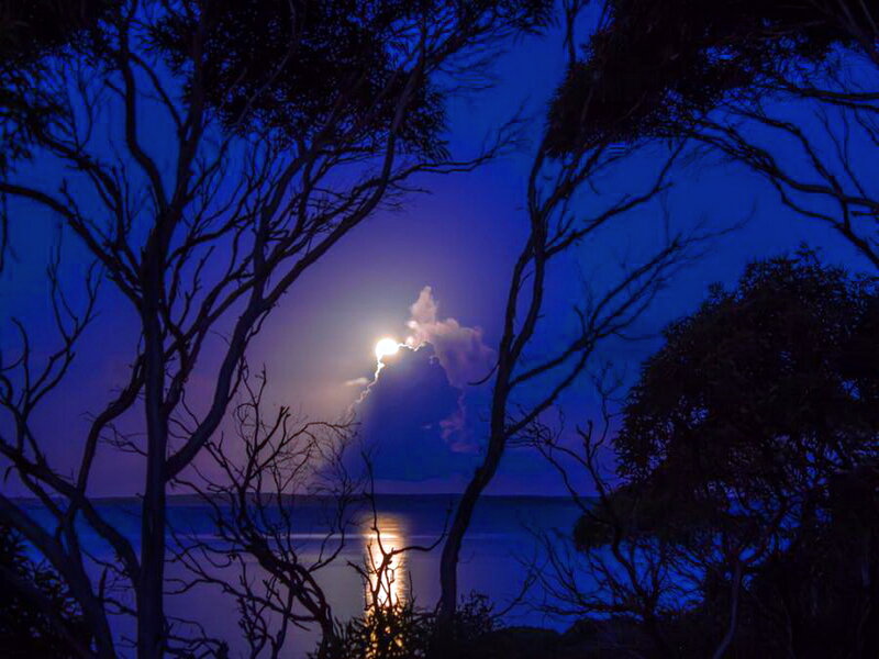 Moon over Water — Blue, Dramatic, Night, Photograph