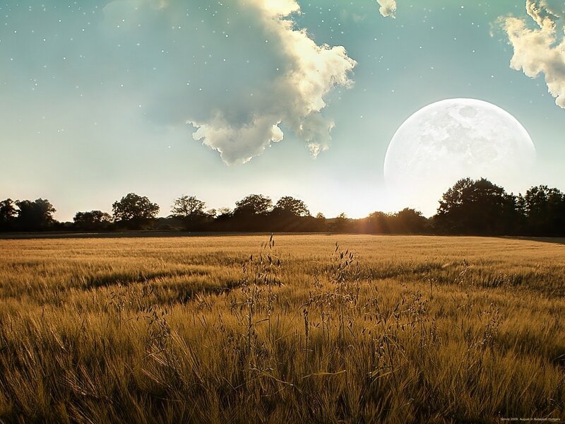 Moon over wheat field
