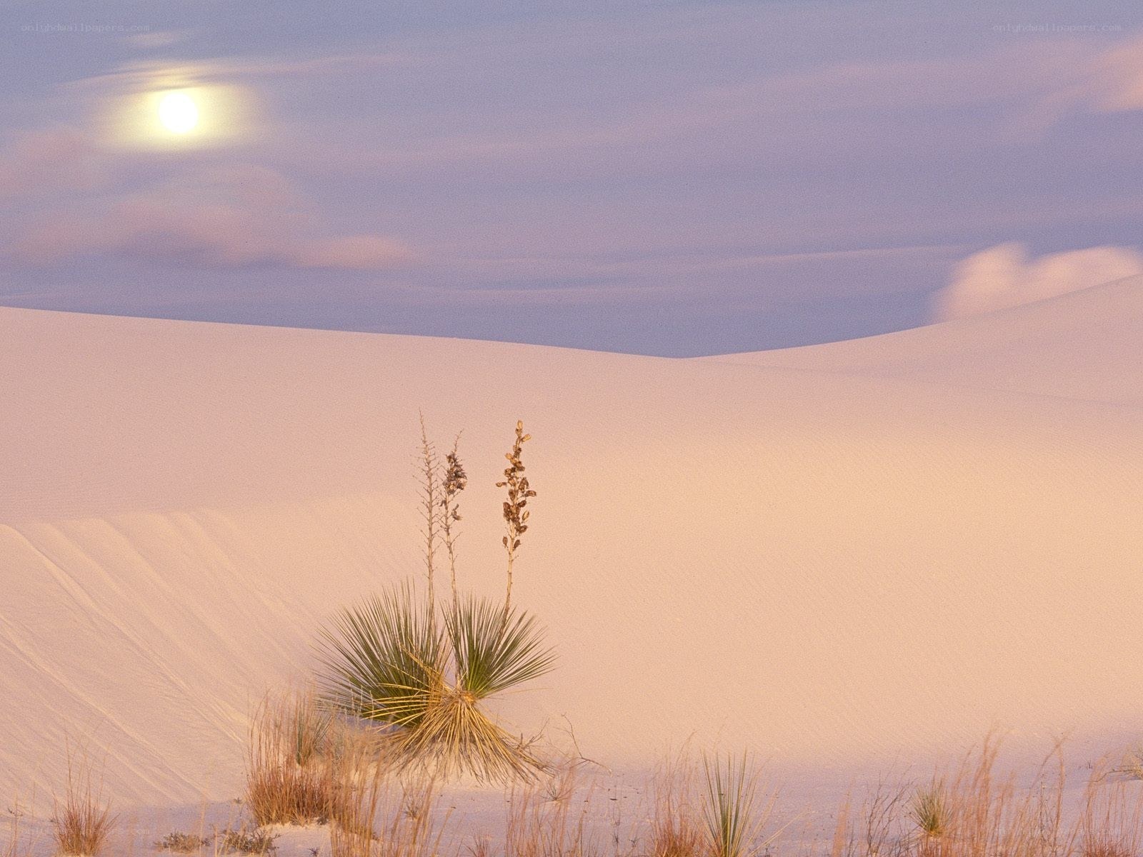 Moon over white sand dunes