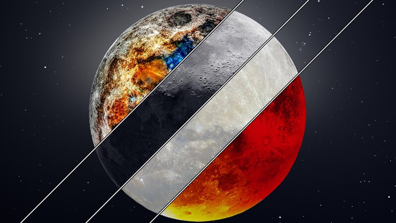 Moon Phases Collage