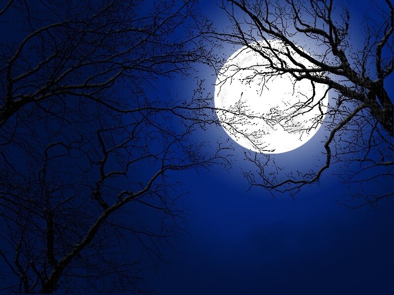 Moon through bare tree branches