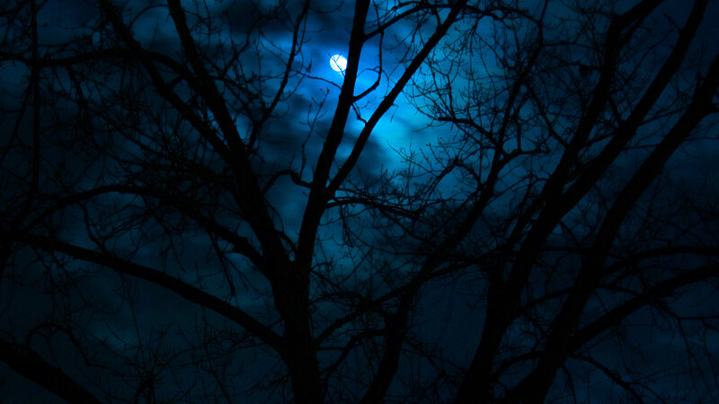 Moon through bare tree branches