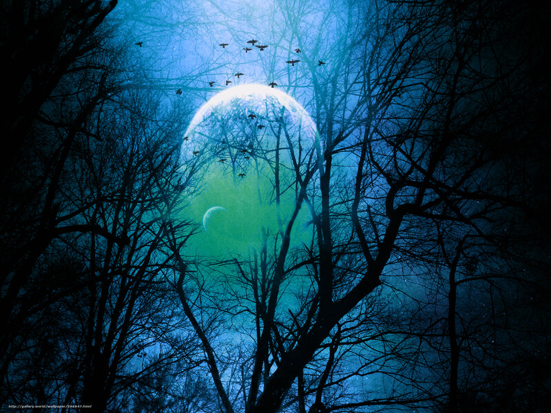 Moon Through Bare Trees — Blue