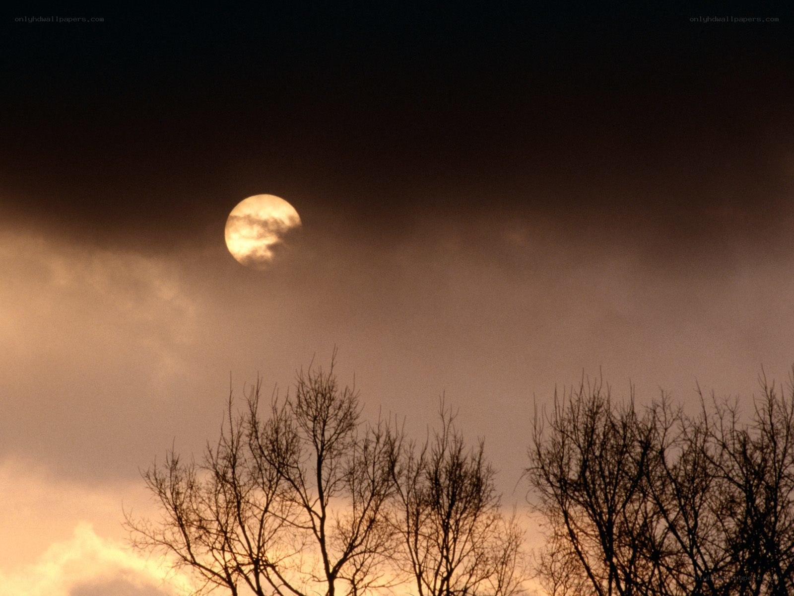 Moon through clouds at dusk