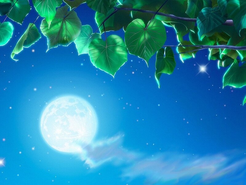Moon Through Leaves — Blue