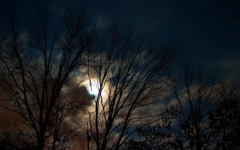 Moon Through Tree Branches — Black, Dramatic, Night, Photograph, Clouds