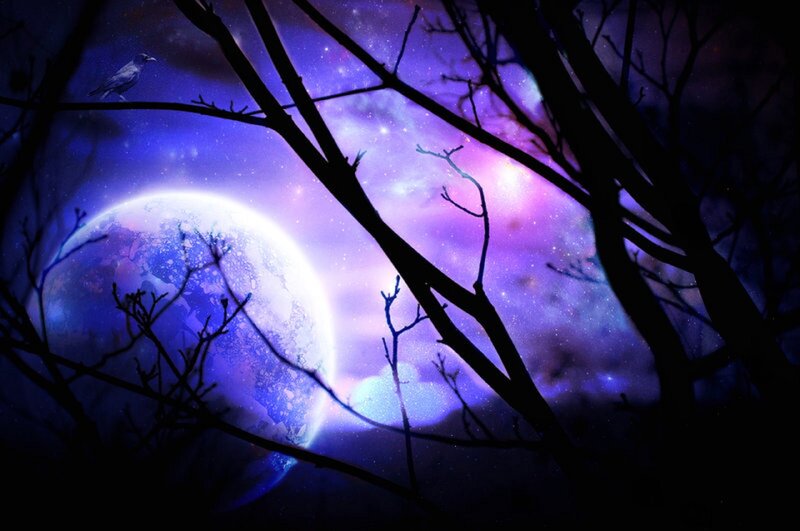 Moon Through Tree Branches — Purple, Mystical