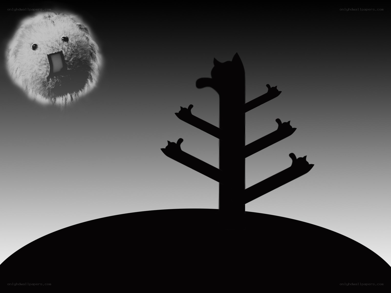 Moon with a face and cat tree