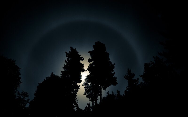 Moon with Halo over Trees
