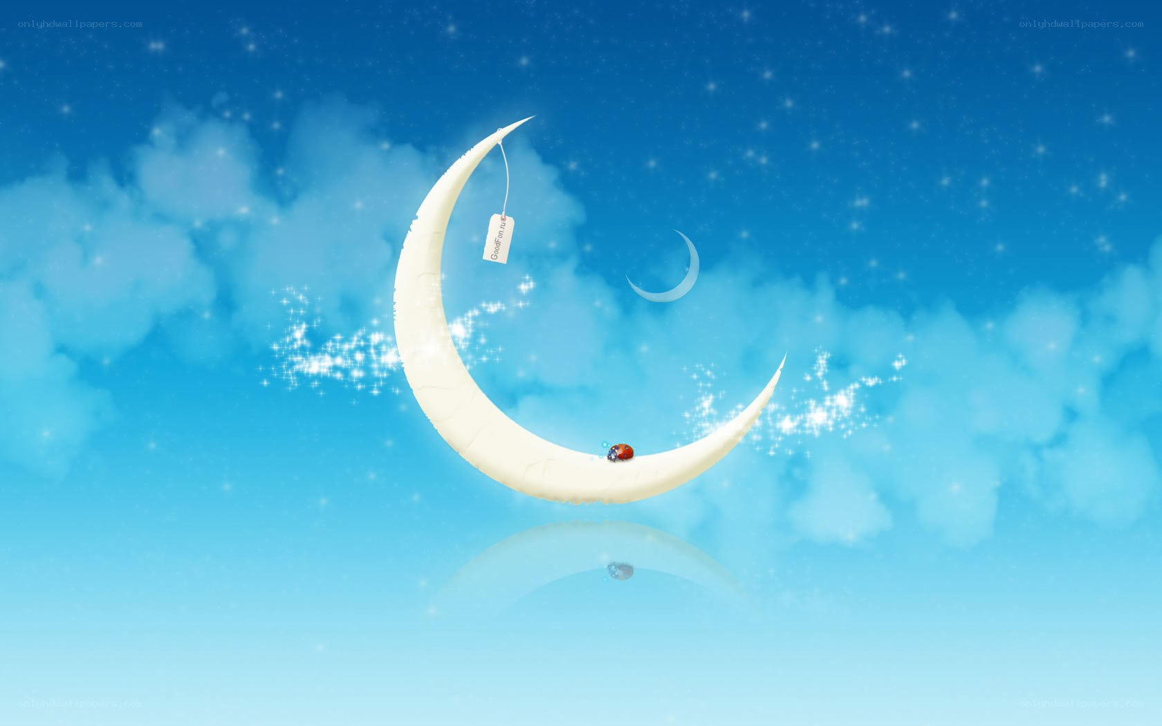 Moon with tea bag and ladybug