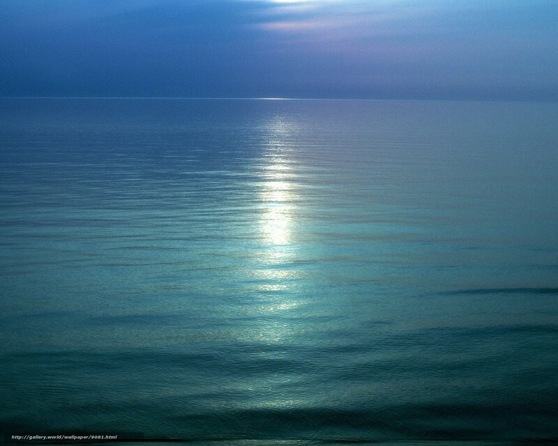 Moonlight on calm ocean