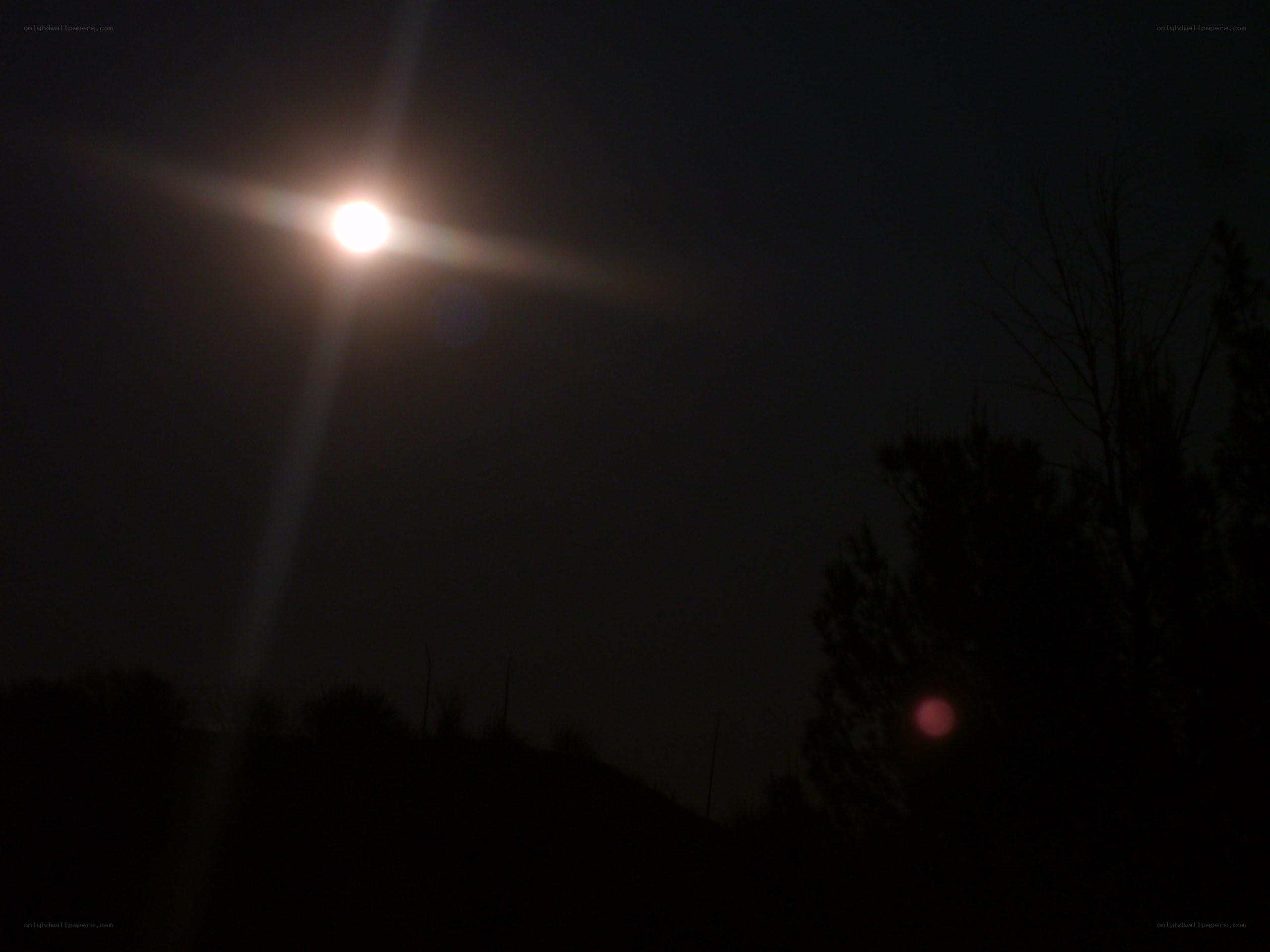 Moonlight over silhouetted trees