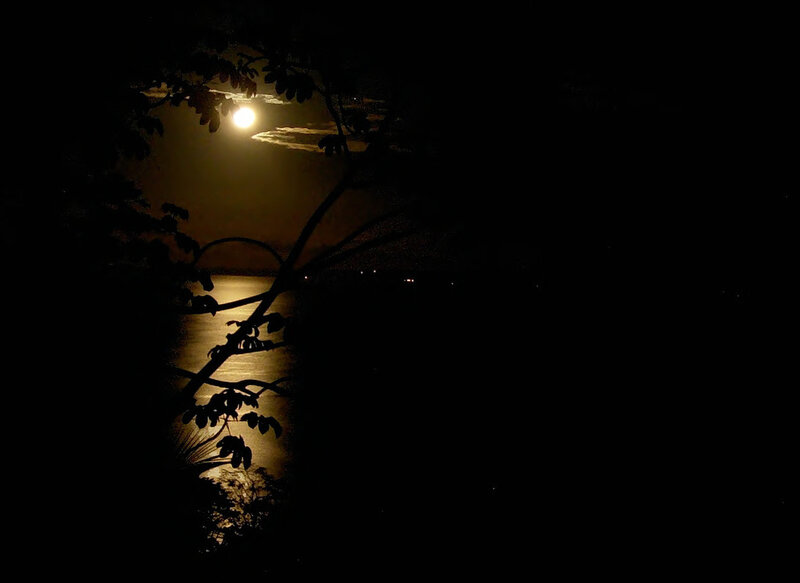 Moonlight over the water