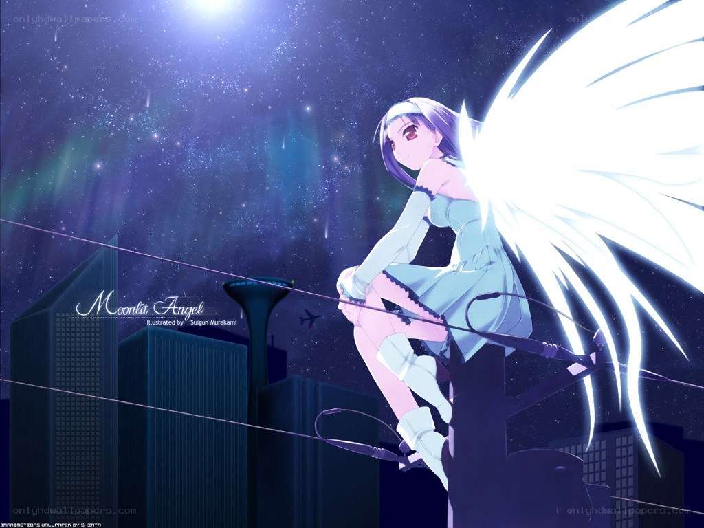 Moonlit Angel on a Pole