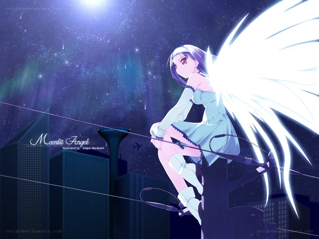 Moonlit Angel on a Wire