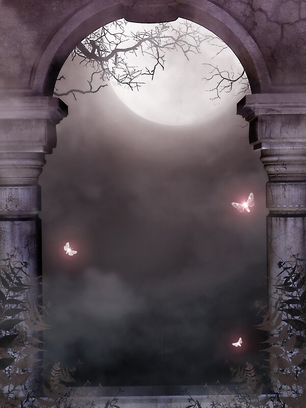 moonlit arch with glowing butterflies
