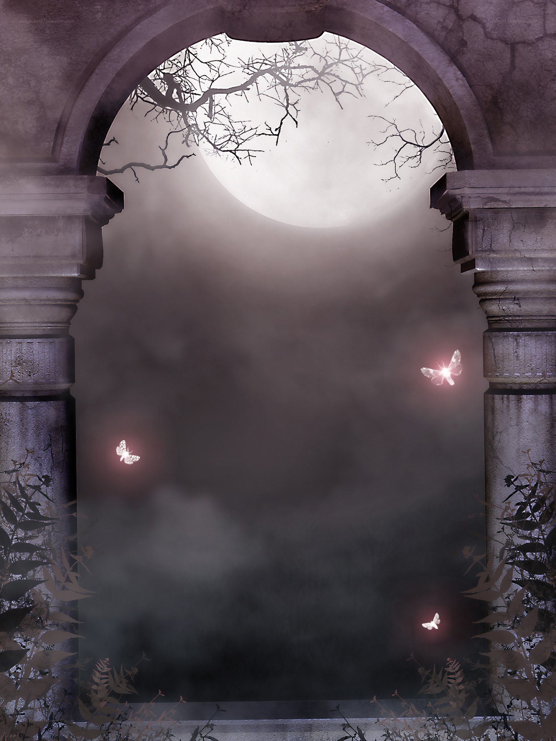 moonlit arch with glowing butterflies