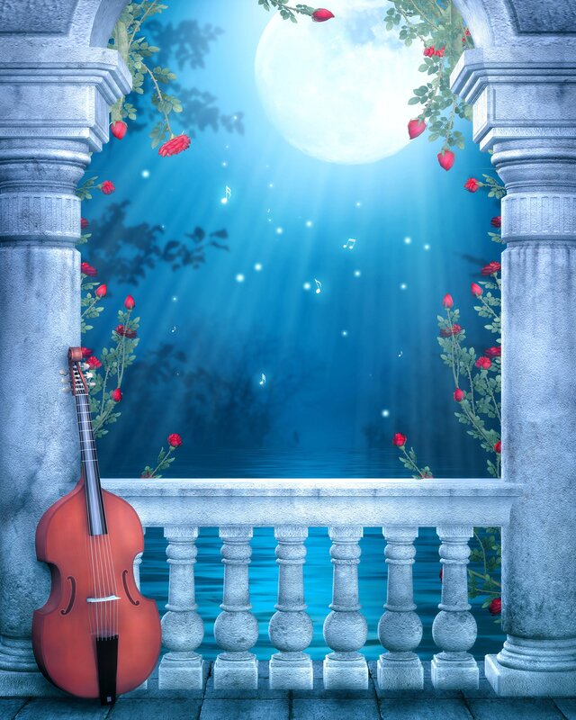 Moonlit balcony with cello