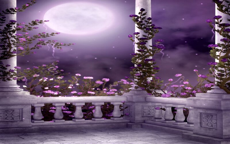 Moonlit balcony with purple flowers