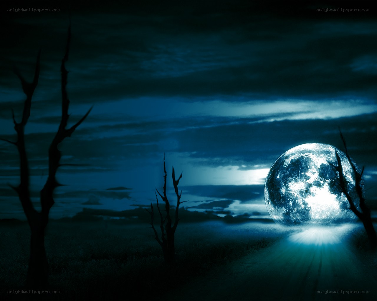 Moonlit barren landscape