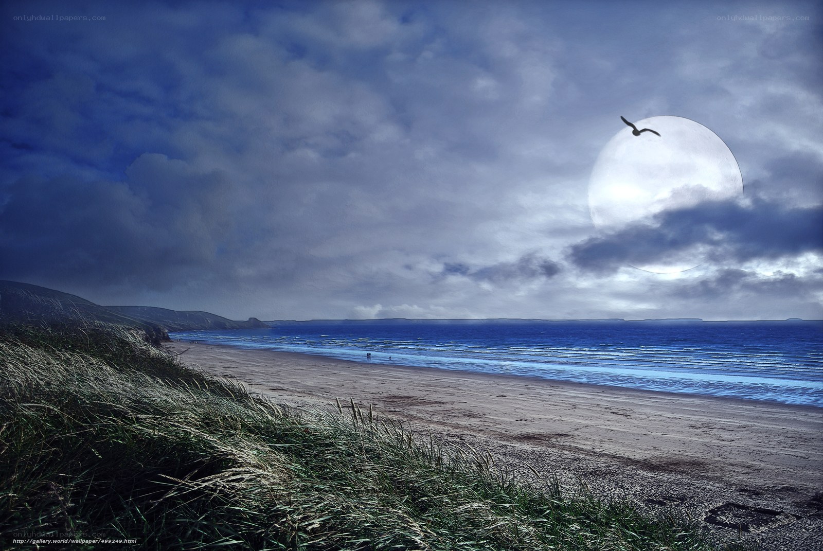 Moonlit beach at dusk