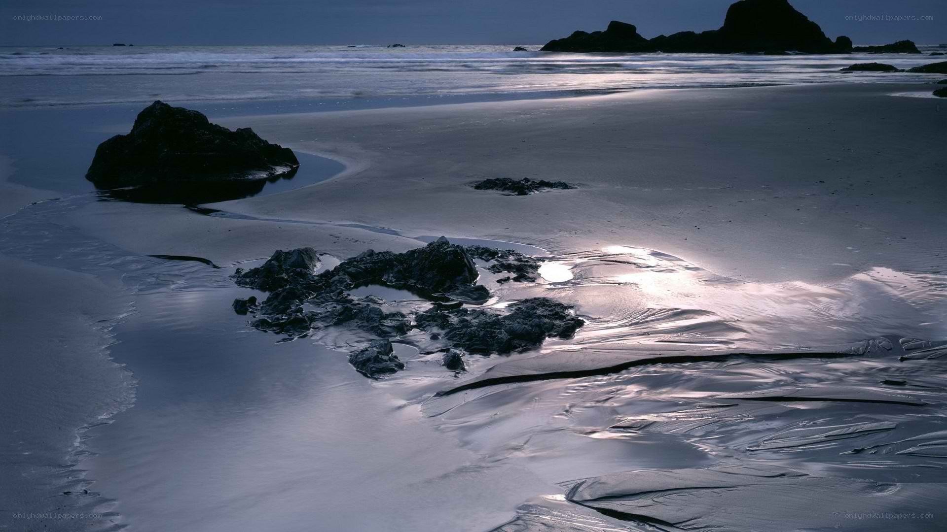 Moonlit beach at dusk