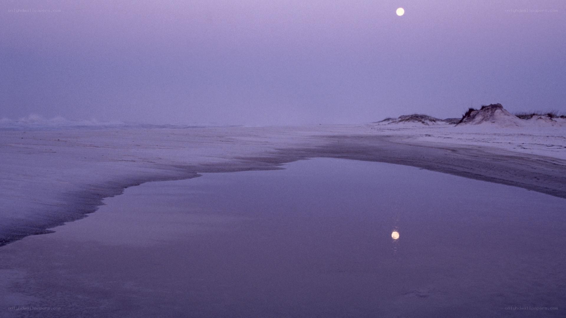Moonlit beach at dusk