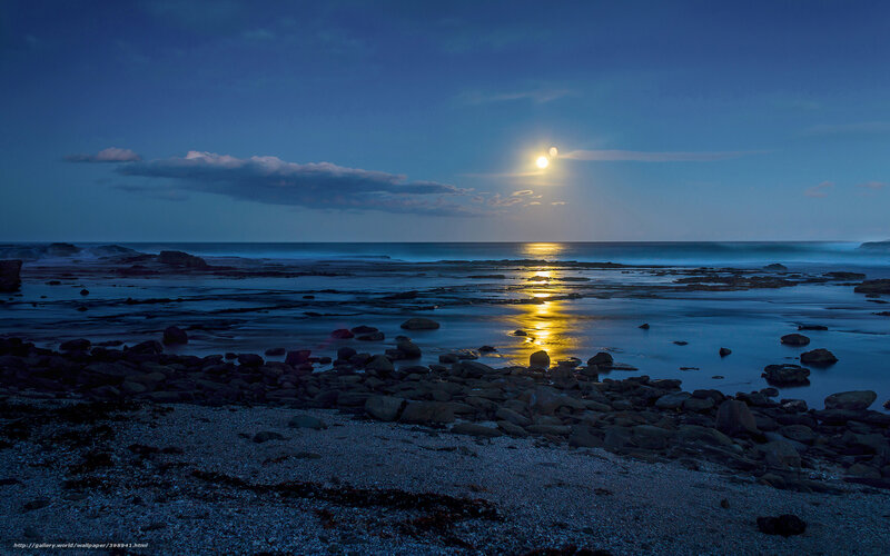 Moonlit beach at dusk